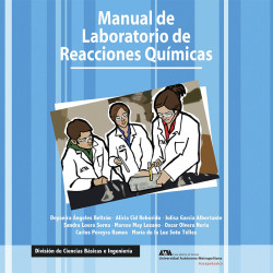 Manual de laboratorio de reacciones químicas (primera edición version azul)